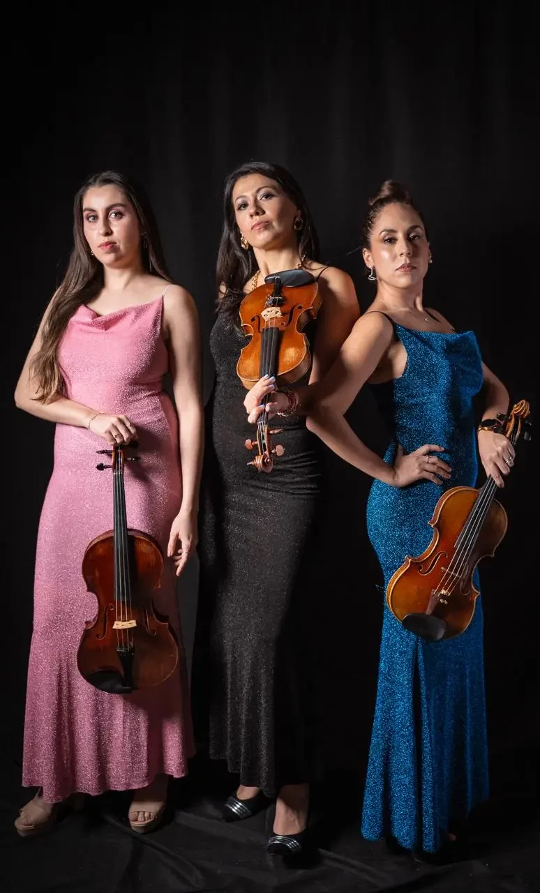 Foto Dominastringquartet